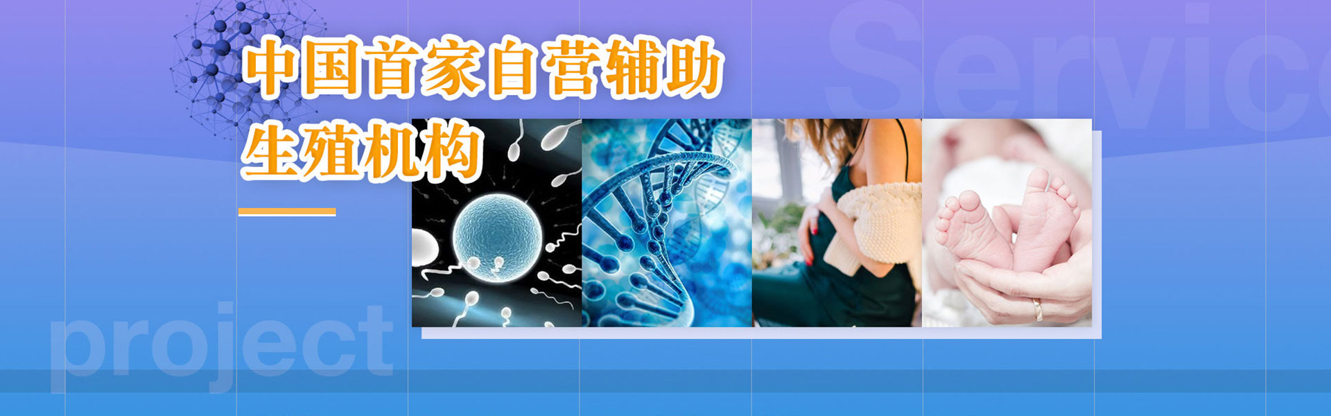 上海助孕机构_上海试管医院_上海助孕中心