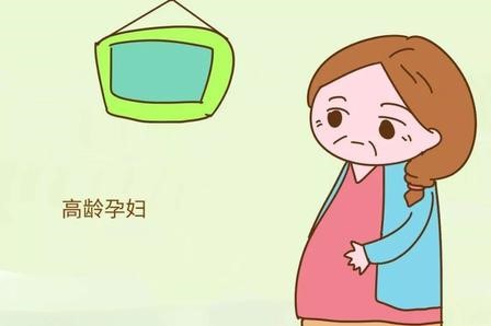 高龄试管婴儿备孕