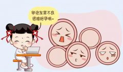上海正规供卵机构专家科普：卵泡发育不好