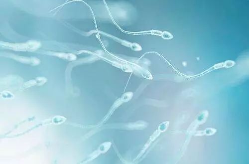精子活力差怎么做试管婴儿