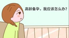 高龄妈妈应该如何提高试管婴儿成功率？