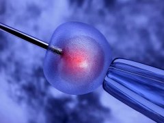 三级冷冻胚胎的移植成功率高吗？