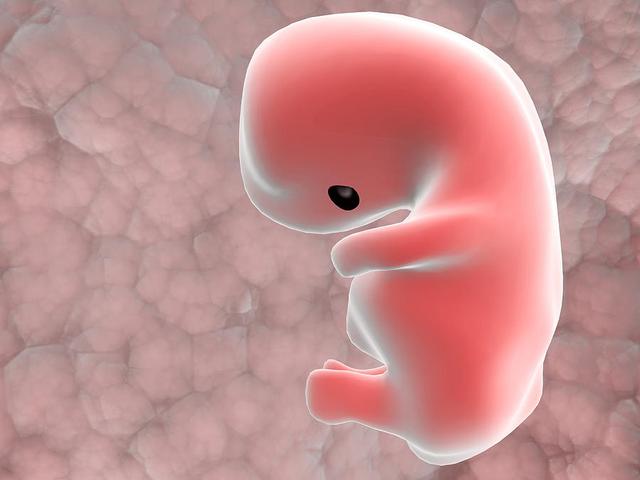 试管婴儿胚胎如何形成？试管婴儿胚胎质量不好怎么办？