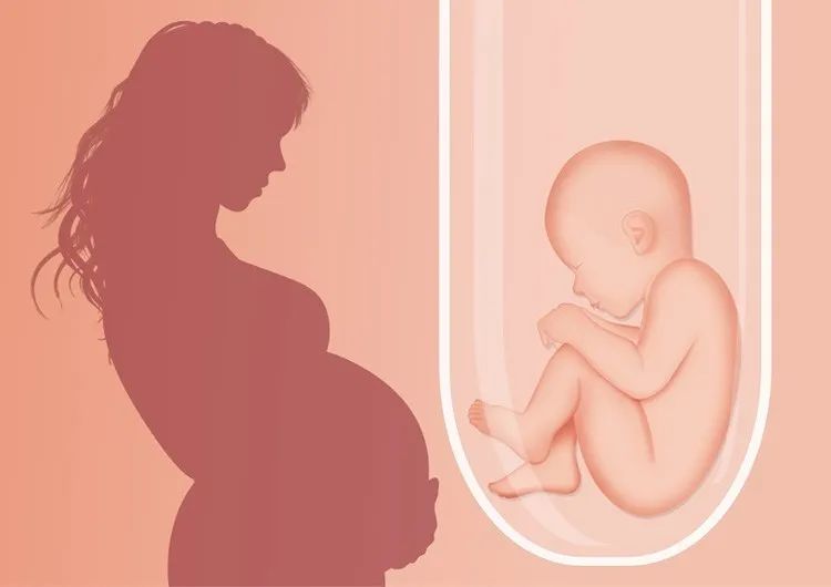 上海助孕专家:备孕期间通过哪些方法一定能怀男孩?