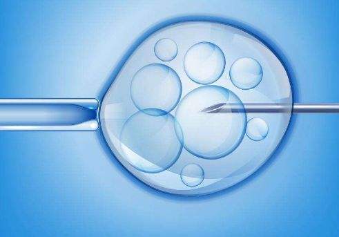 做供卵试管婴儿生子需要哪些必备条件？上海助孕公司哪家好？