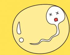 精液不液化能做试管吗？上海助孕公司从3个