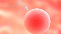 常见的试管婴儿胚胎培育失败原因有哪些？
